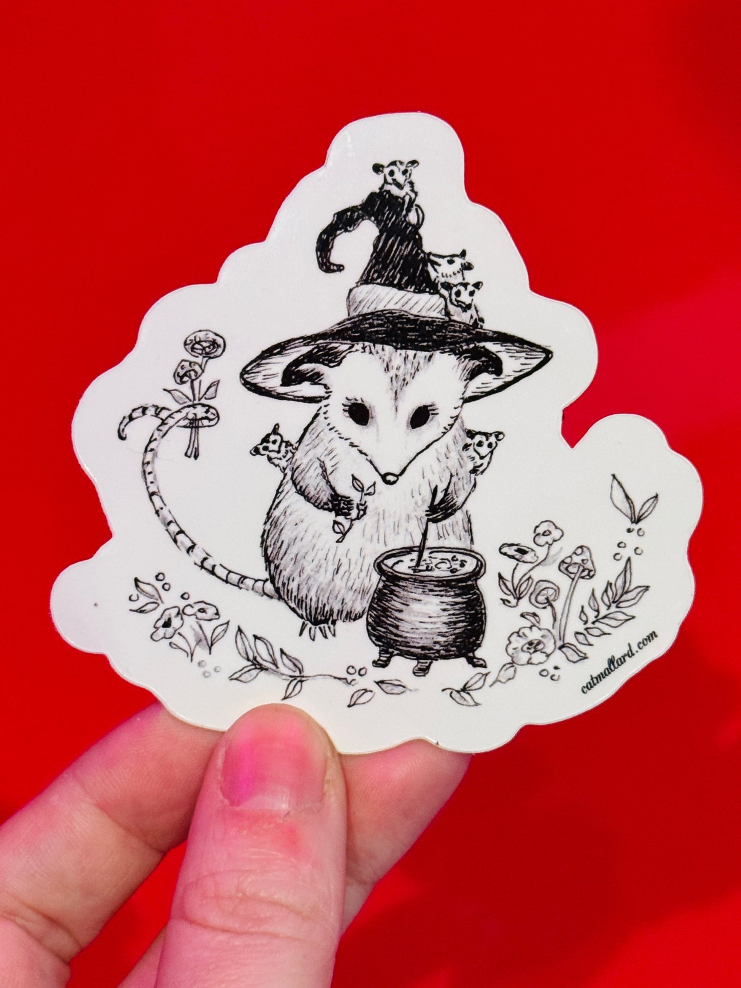 "Possum" sticker by Cat Mallard Art