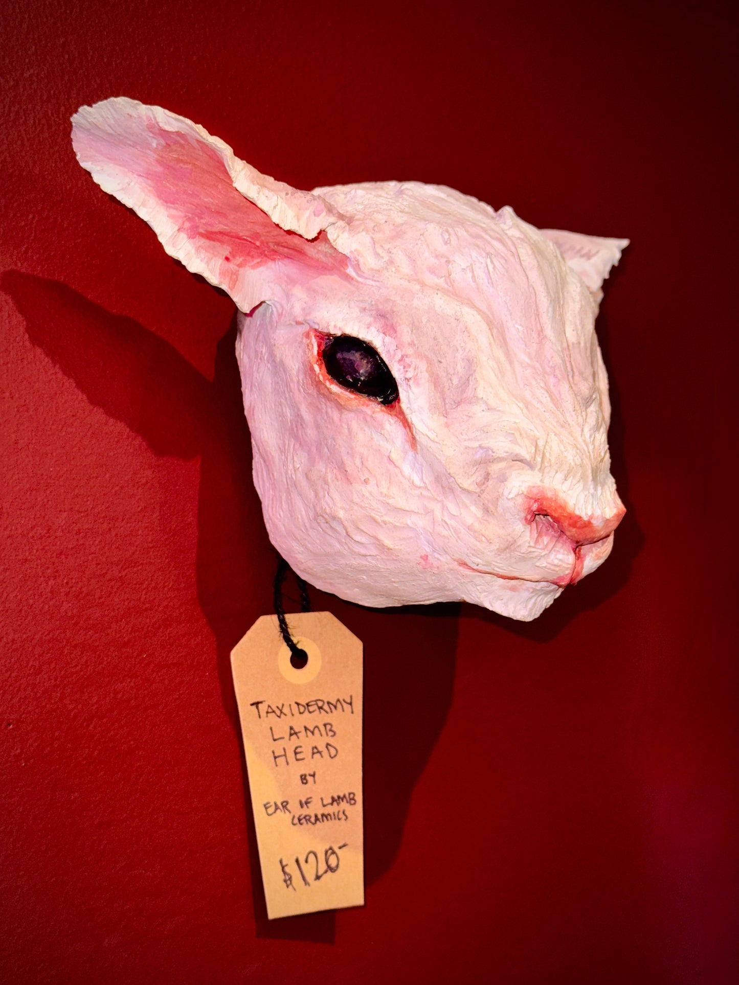 Taxidermy Lamb Head by Ear of Lamb Ceramics