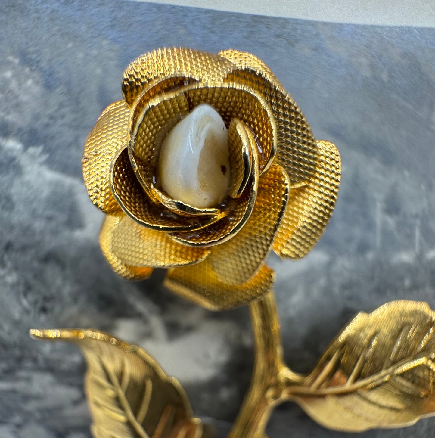 Milktooth Brooch by Blind Bella