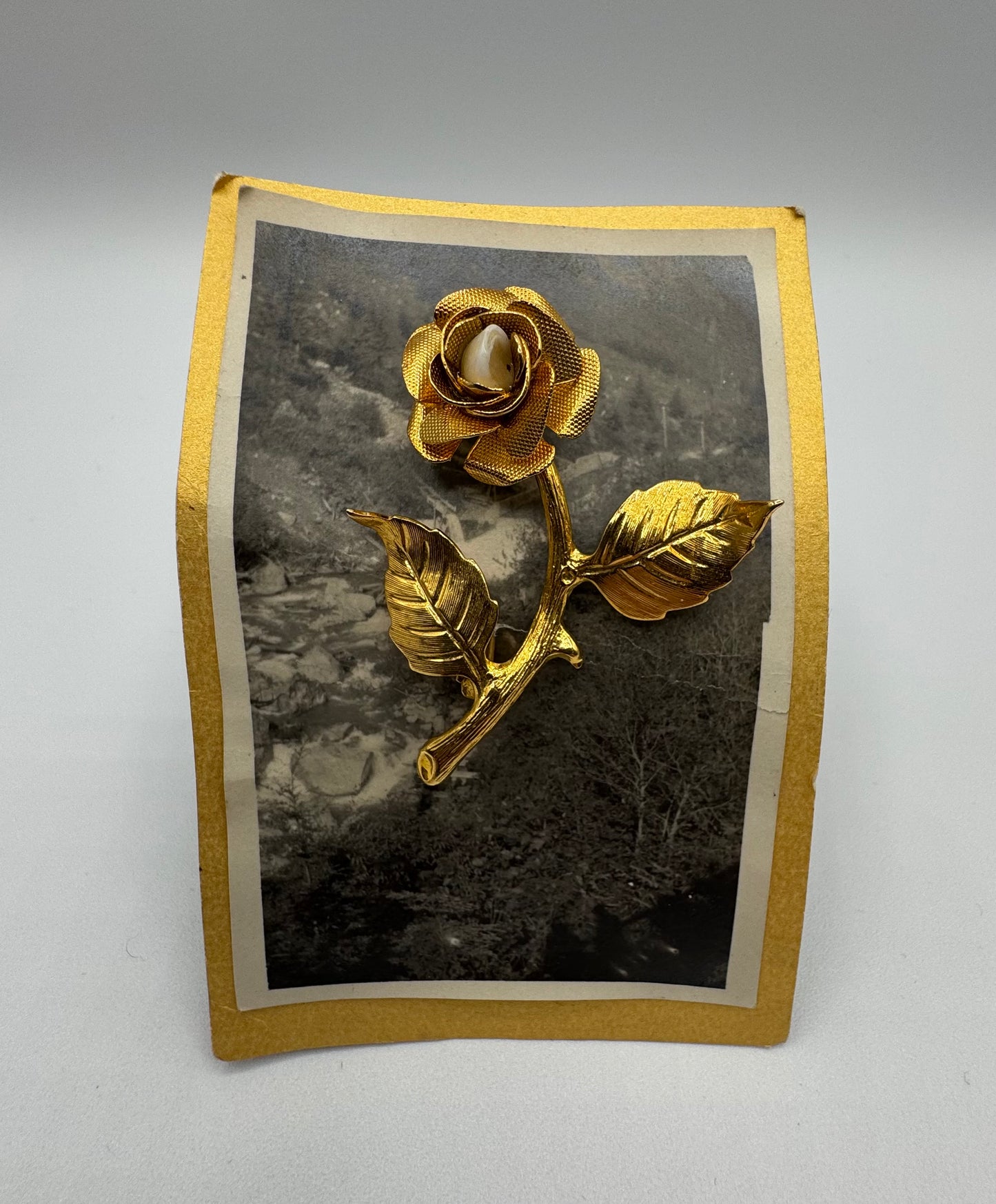 Milktooth Brooch by Blind Bella