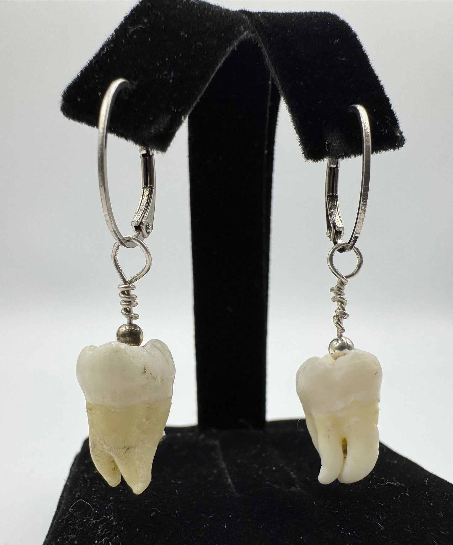 Sterling Silver Tooth Earrings by Blind Bella