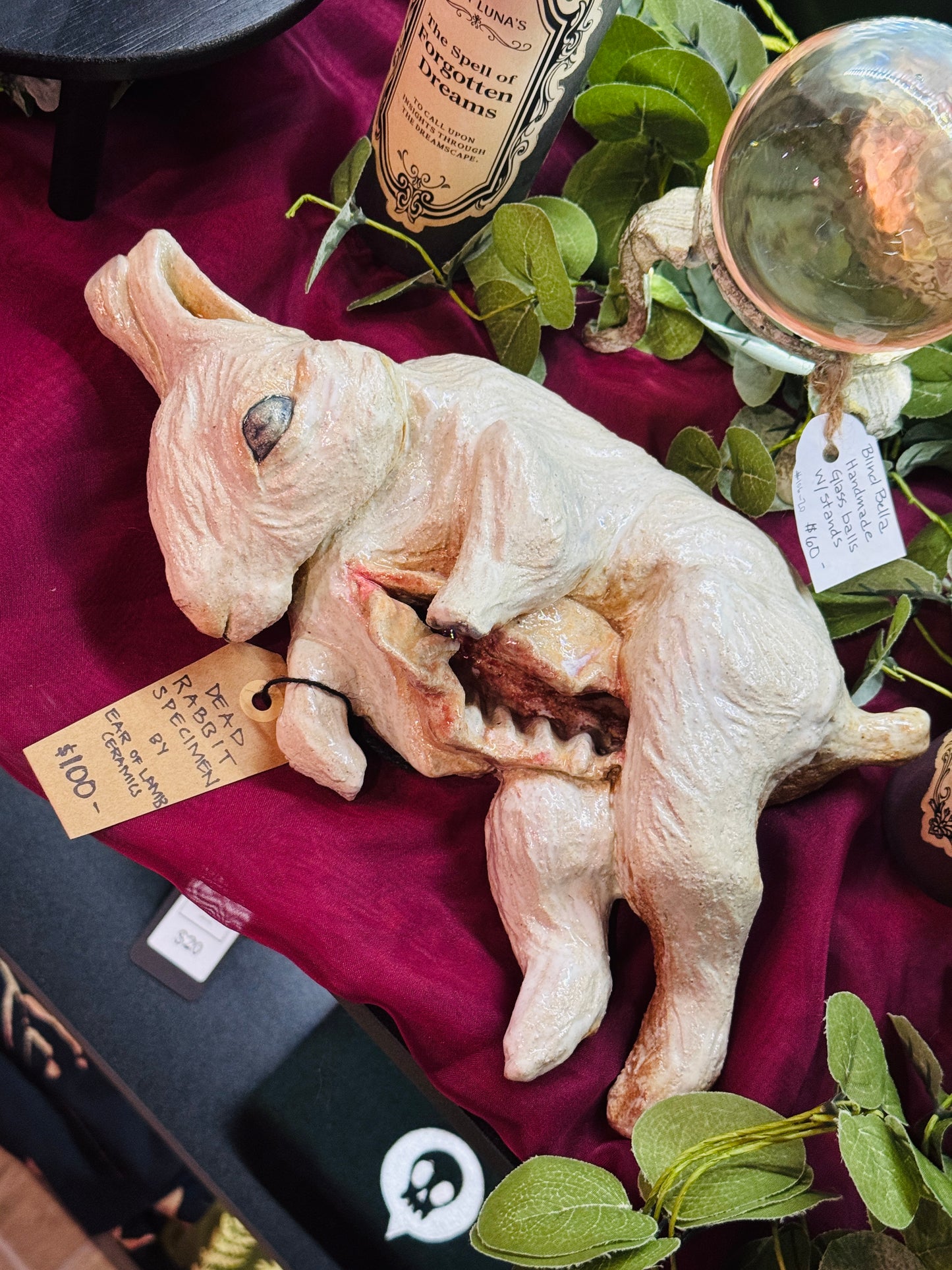 Dead Rabbit Specimen by Ear of Lamb Ceramics