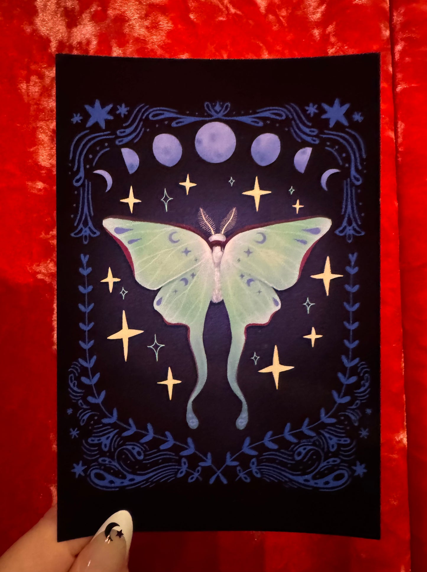 Luna Moth postcard by Saltnox