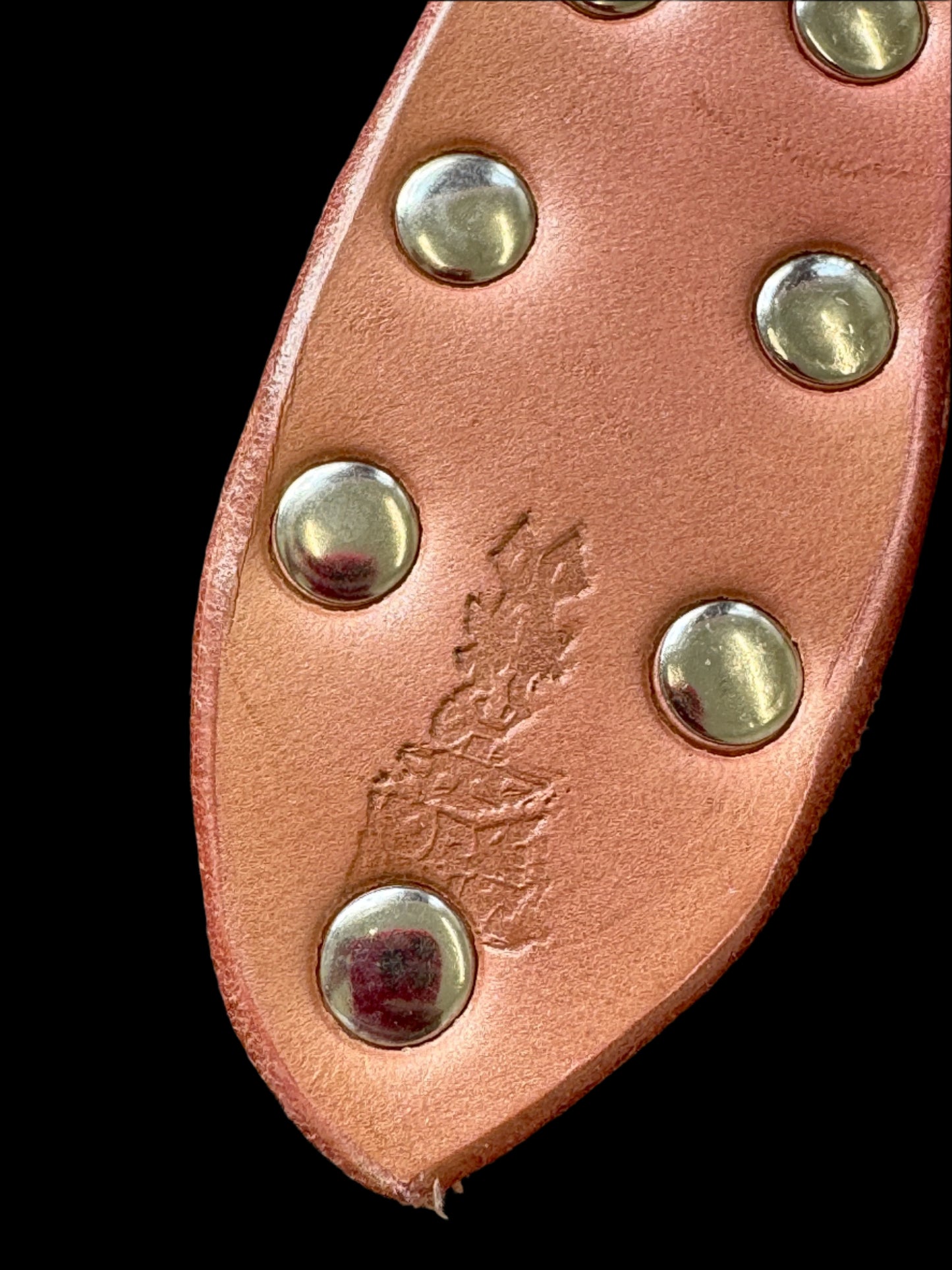 Bunny Paddle Pink (nickel) by Horsebonez