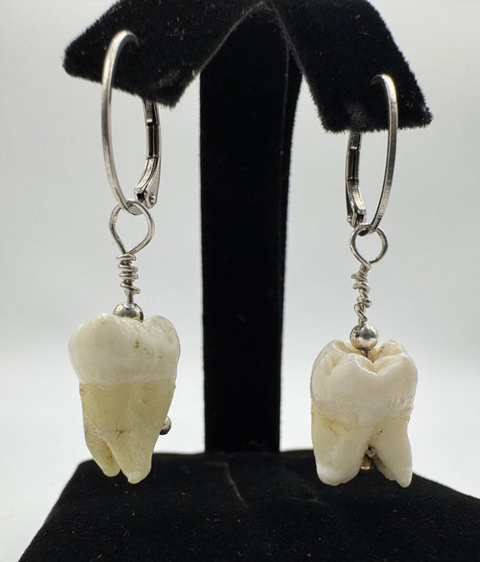 Sterling Silver Tooth Earrings by Blind Bella