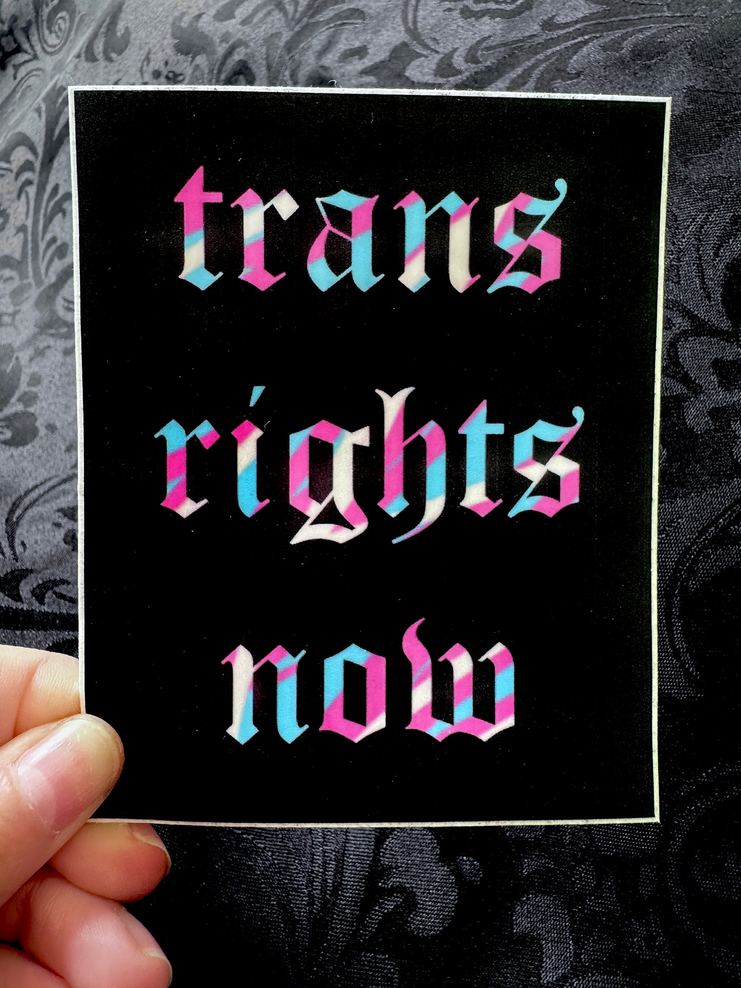 "Trans Rights Now" sticker by DEUS DETRITUS